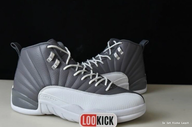 STEALTH CT8025-610 JORDAN AIR 12 0723